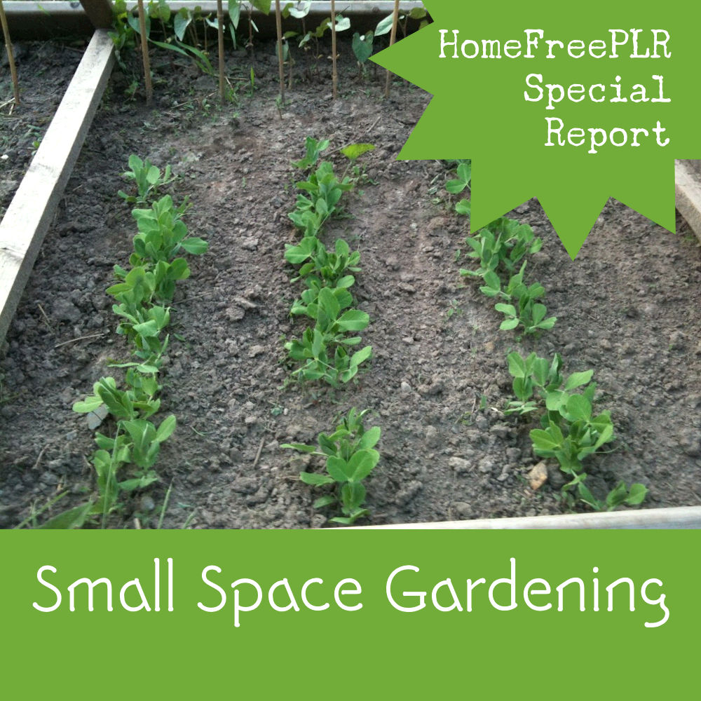 small space gardening plr