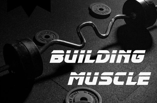 building muscle plr