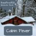 cabin fever winter plr