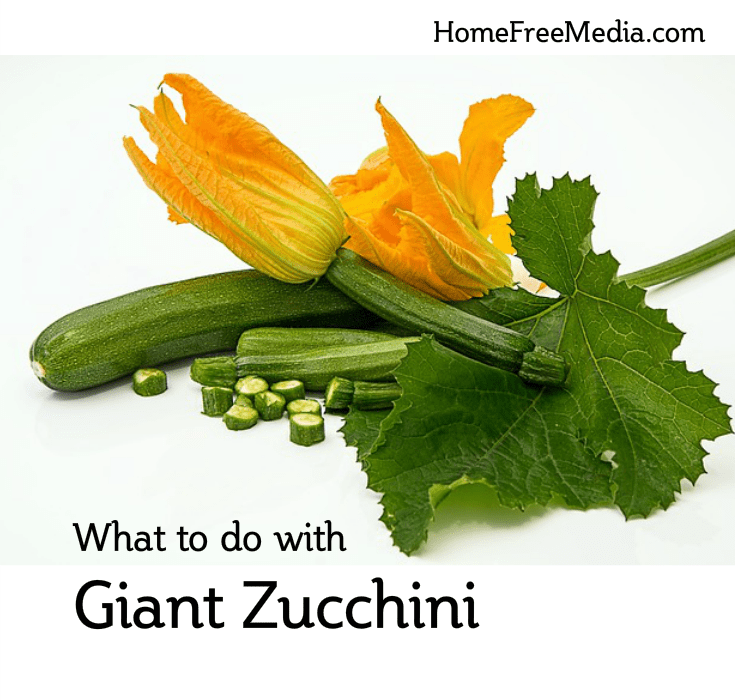 what to do with giant zucchini