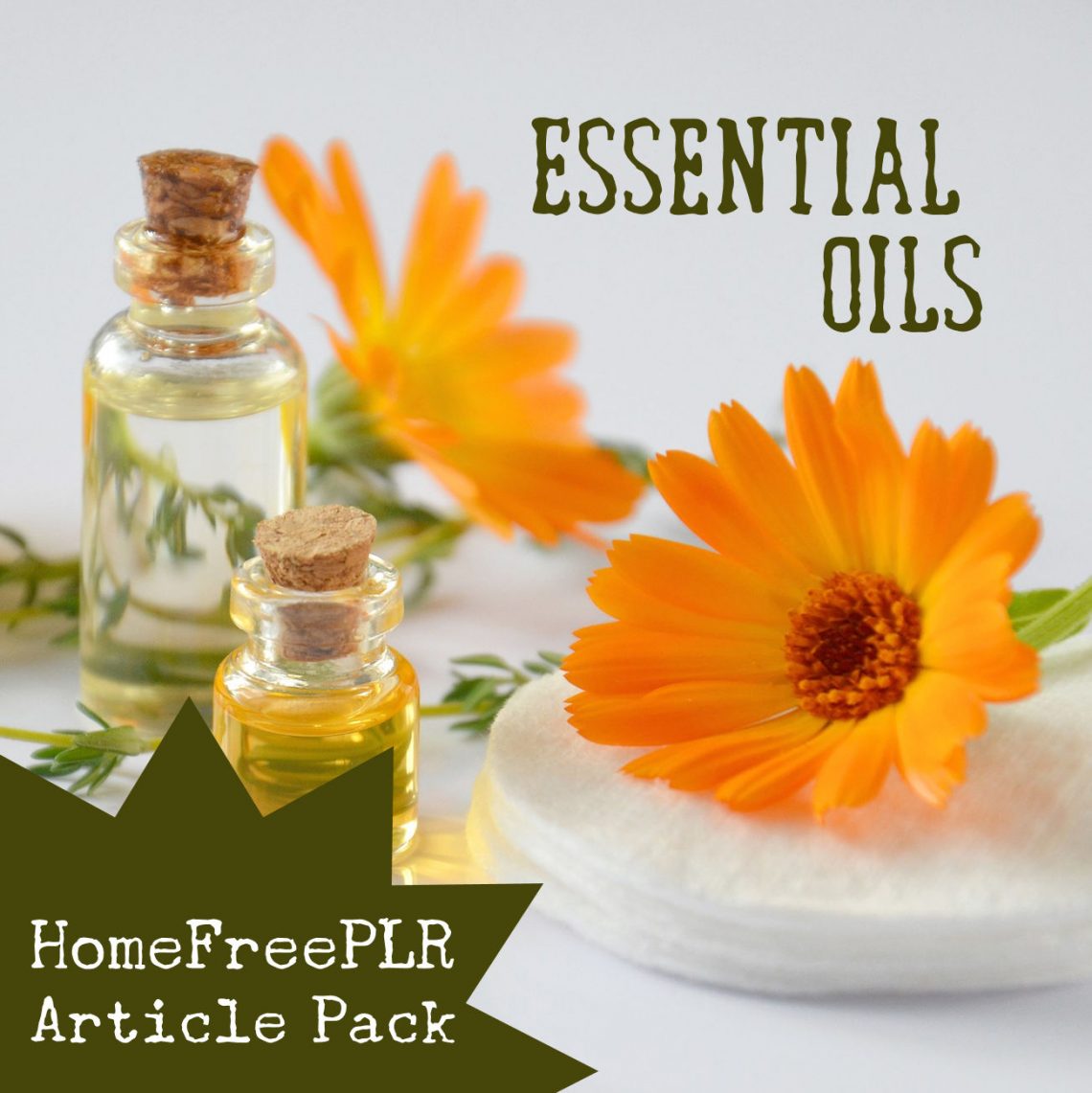 Essential Oils PLR Article Pack