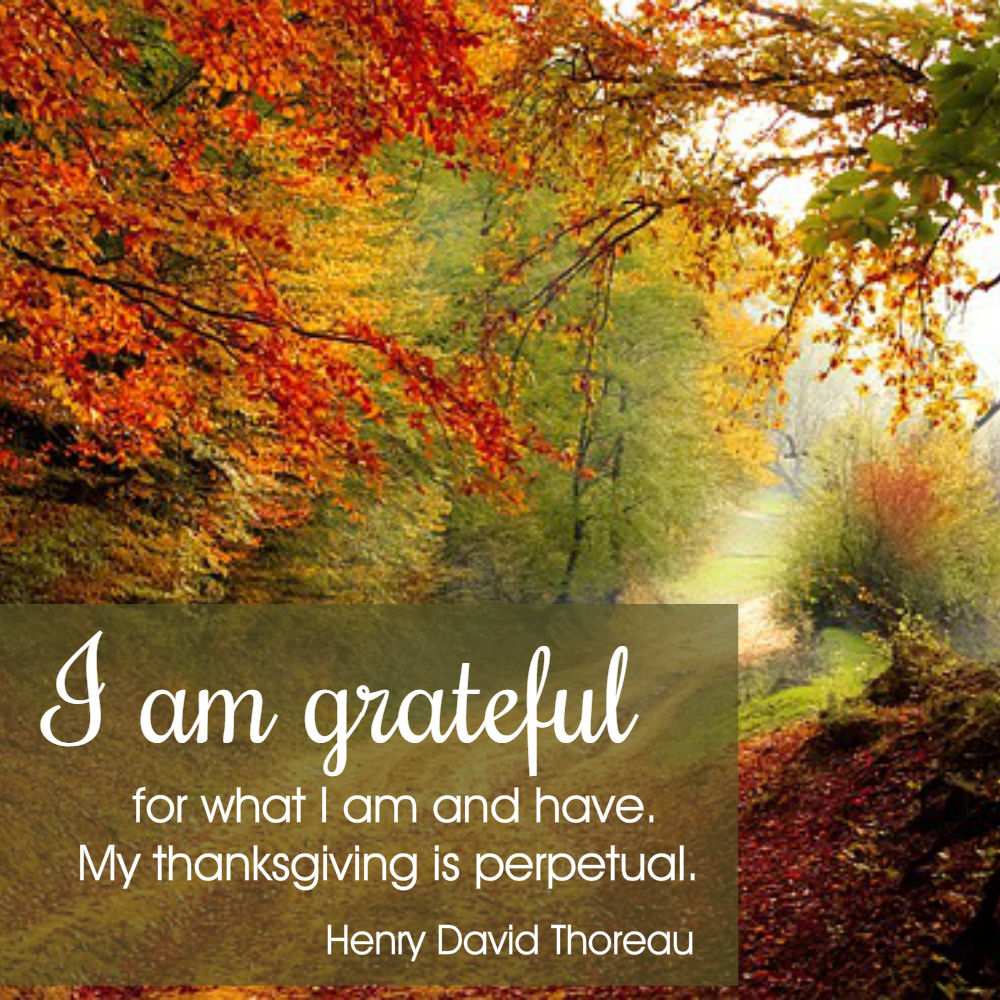 gratitude quote graphics
