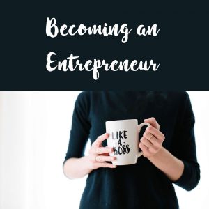 business entrepreneur report plr