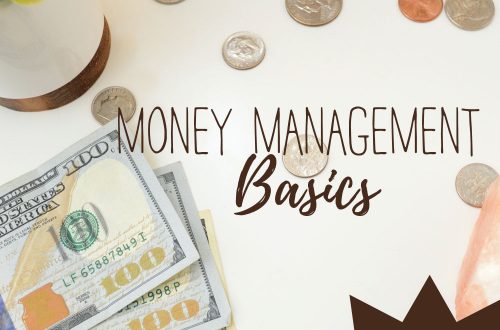 money management basics plr