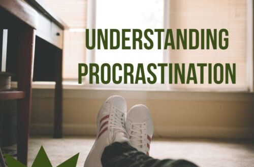 procrastination PLR ecourse