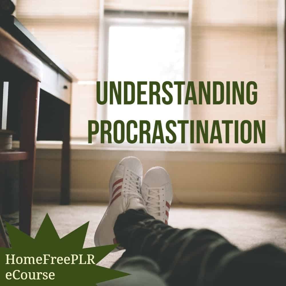 procrastination PLR ecourse