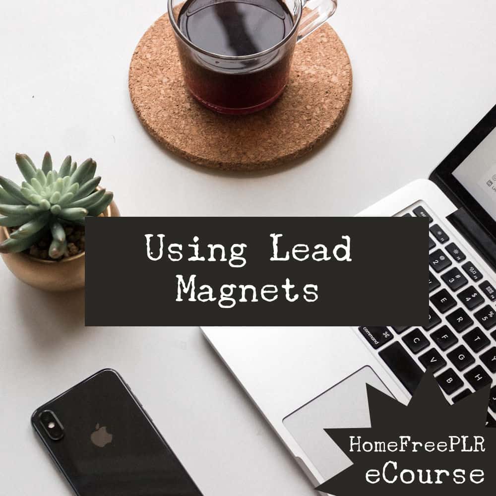 lead magnets plr